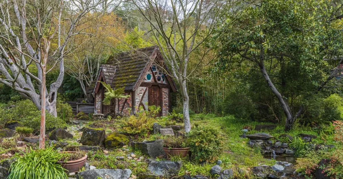 Comment favoriser la biodiversité dans votre jardin