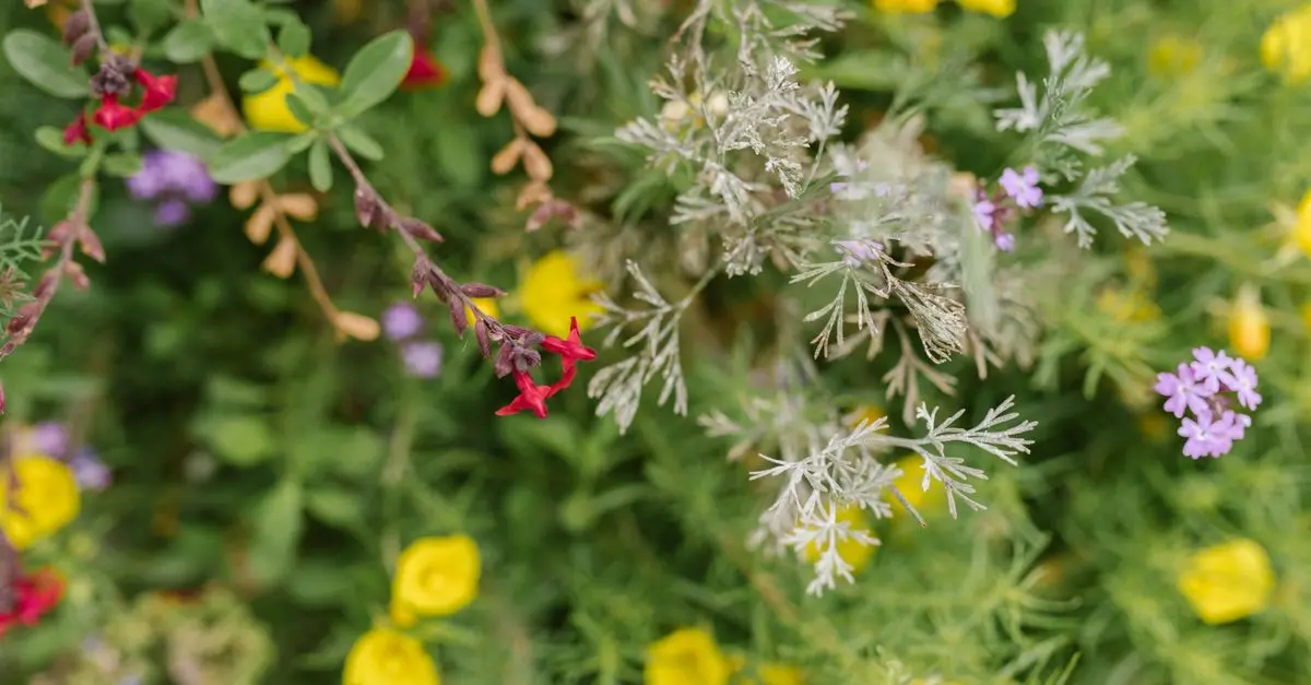 Les Plantes Parfaites pour Créer un Jardin Écologique