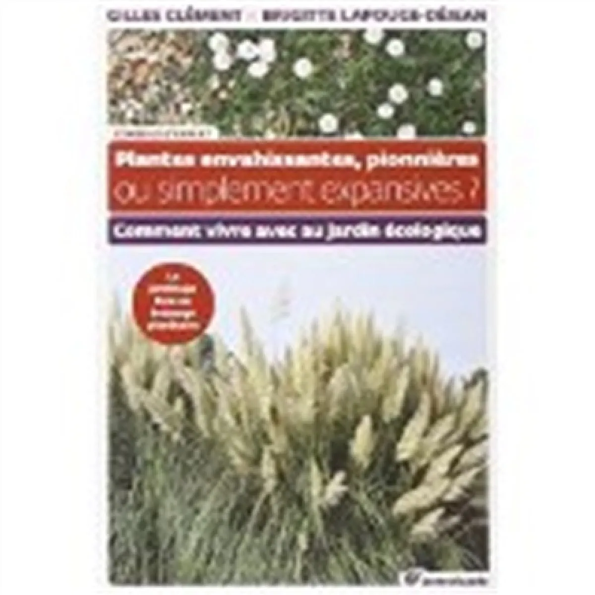 Plantes envahissantes, pionnières ou simplement expansives ? : comment vivre avec un jardin écologique