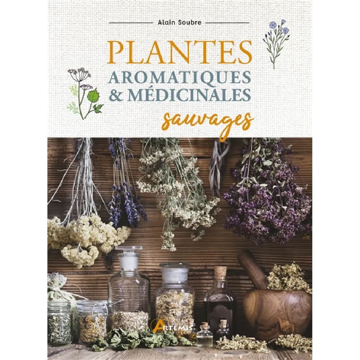 Plantes aromatiques & médicinales sauvages