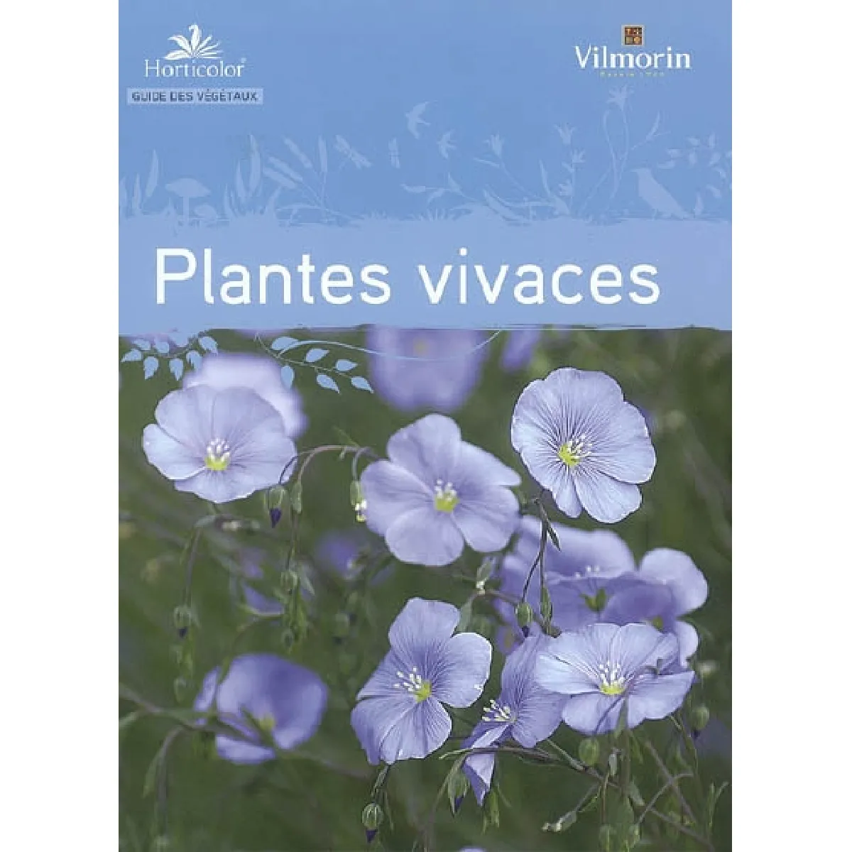 Plantes vivaces