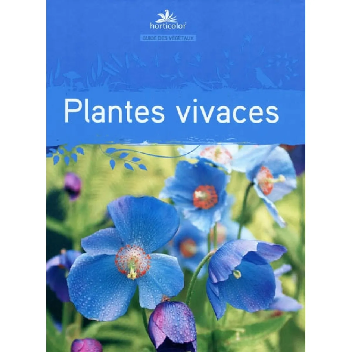 Guide des plantes vivaces