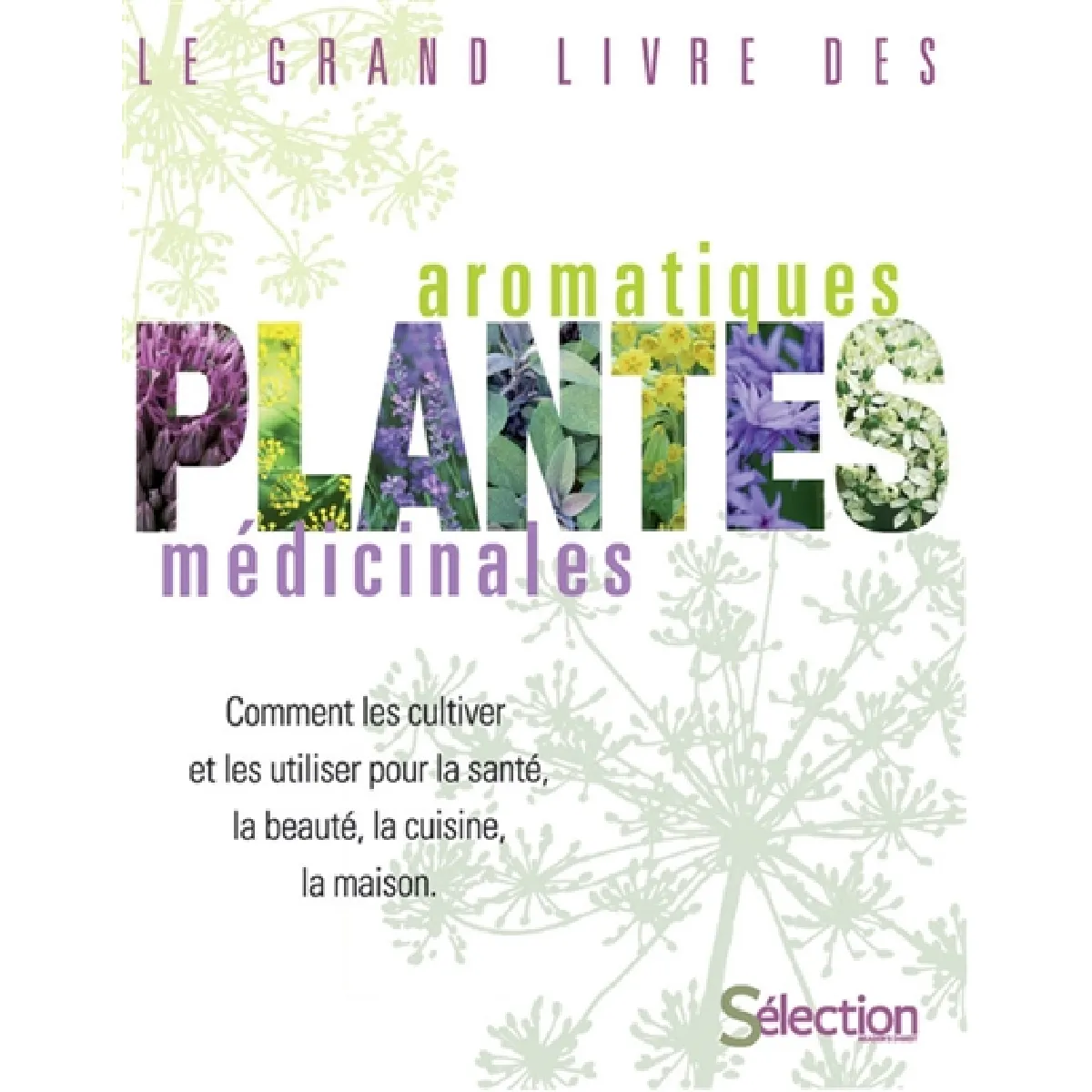 Les plantes aromatiques et médicinales