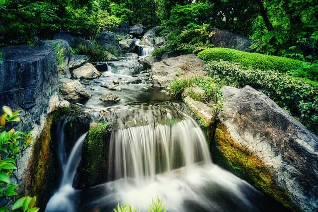 Les Plantes Esprit Zen : Créez Un Jardin Apaisant