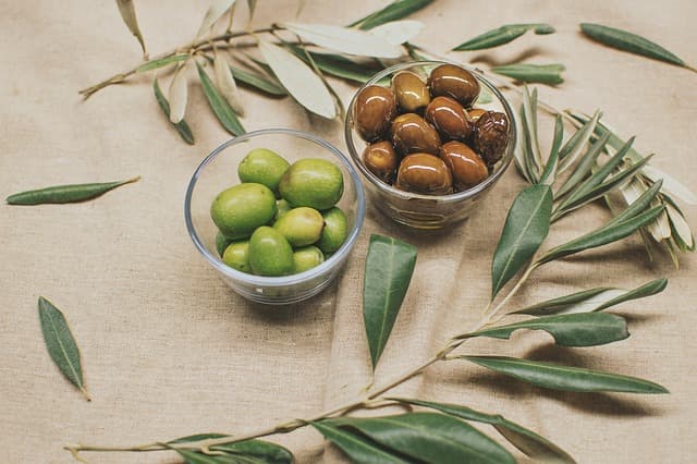 Les Meilleures Pratiques pour Cultiver des Plantes Méditerranéennes