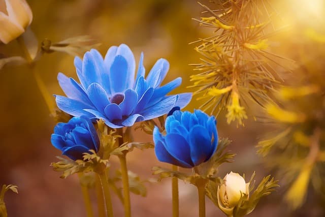 10 Plantes Idéales Pour Éveiller Votre Jardin au Printemps