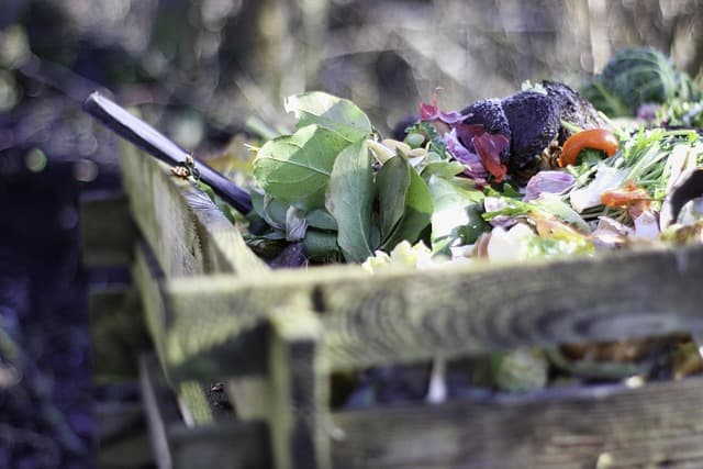Comment Aménager un Jardin Écologique et Durable