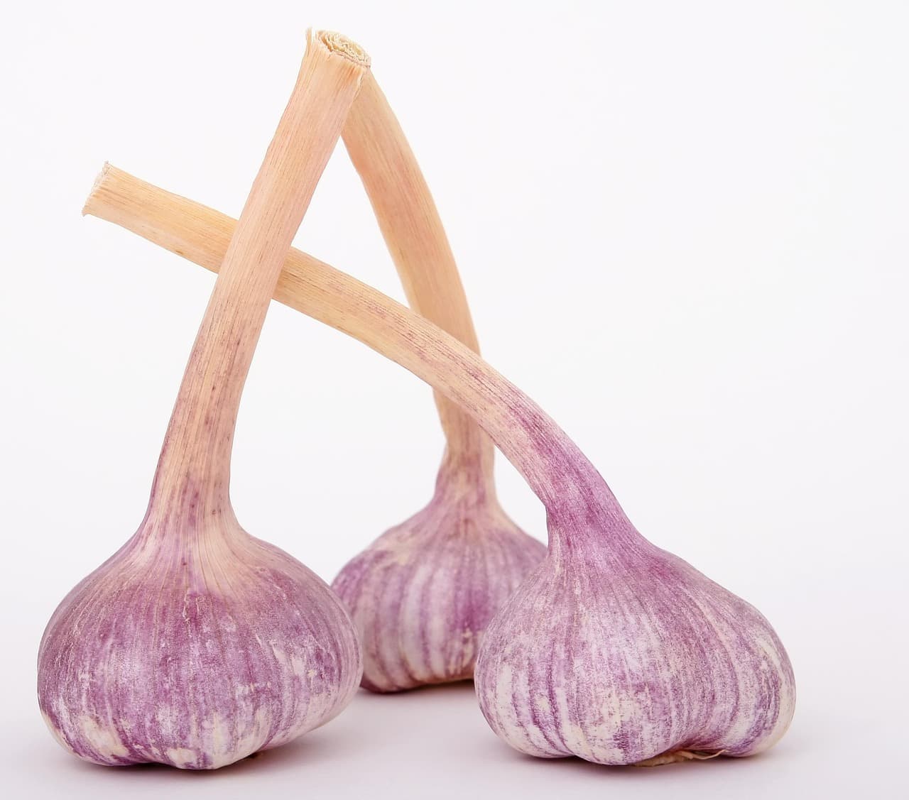 10 Astuces pour un Jardin Comestible Épanoui
