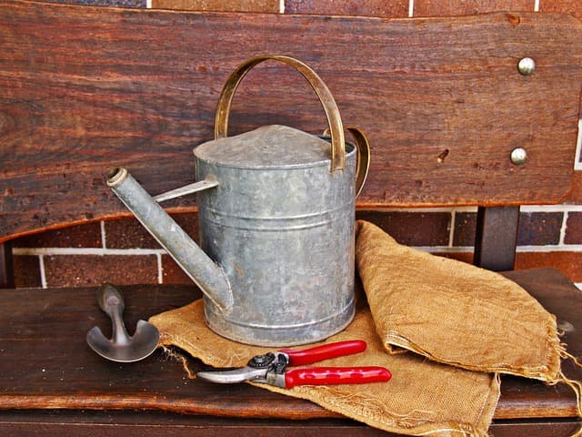 Les Meilleurs Outils de Jardinage pour Débutants : Guide Complet