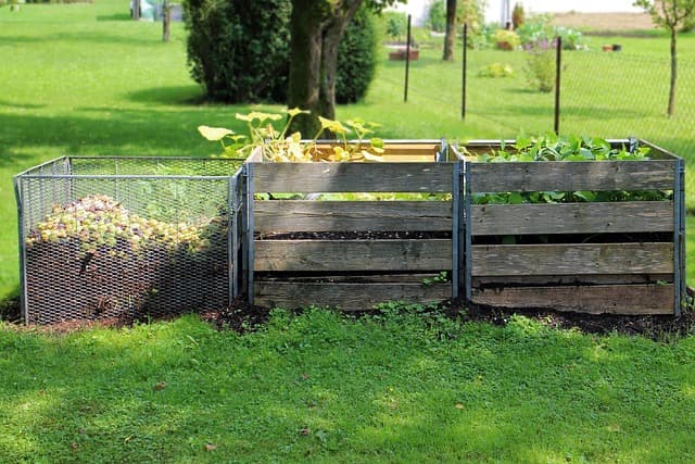 Comment créer un jardin écologique pour un avenir durable