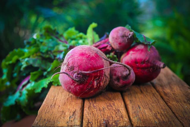 Guide Pratique pour Créer un Jardin Bio et Écologique