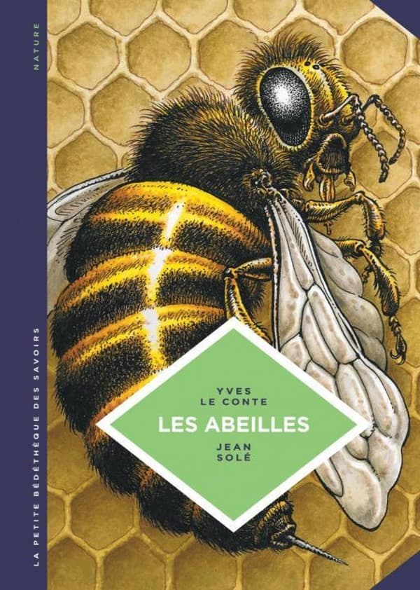 La petite bédéthèque des savoirs tome 20 - Les abeilles